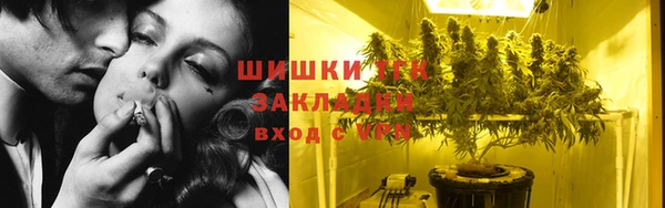 ПСИЛОЦИБИНОВЫЕ ГРИБЫ Богородск