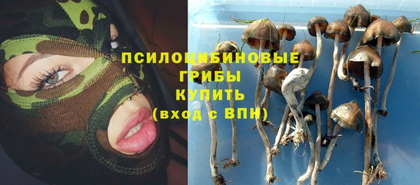 ПСИЛОЦИБИНОВЫЕ ГРИБЫ Богородск