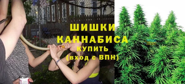 ПСИЛОЦИБИНОВЫЕ ГРИБЫ Богородск